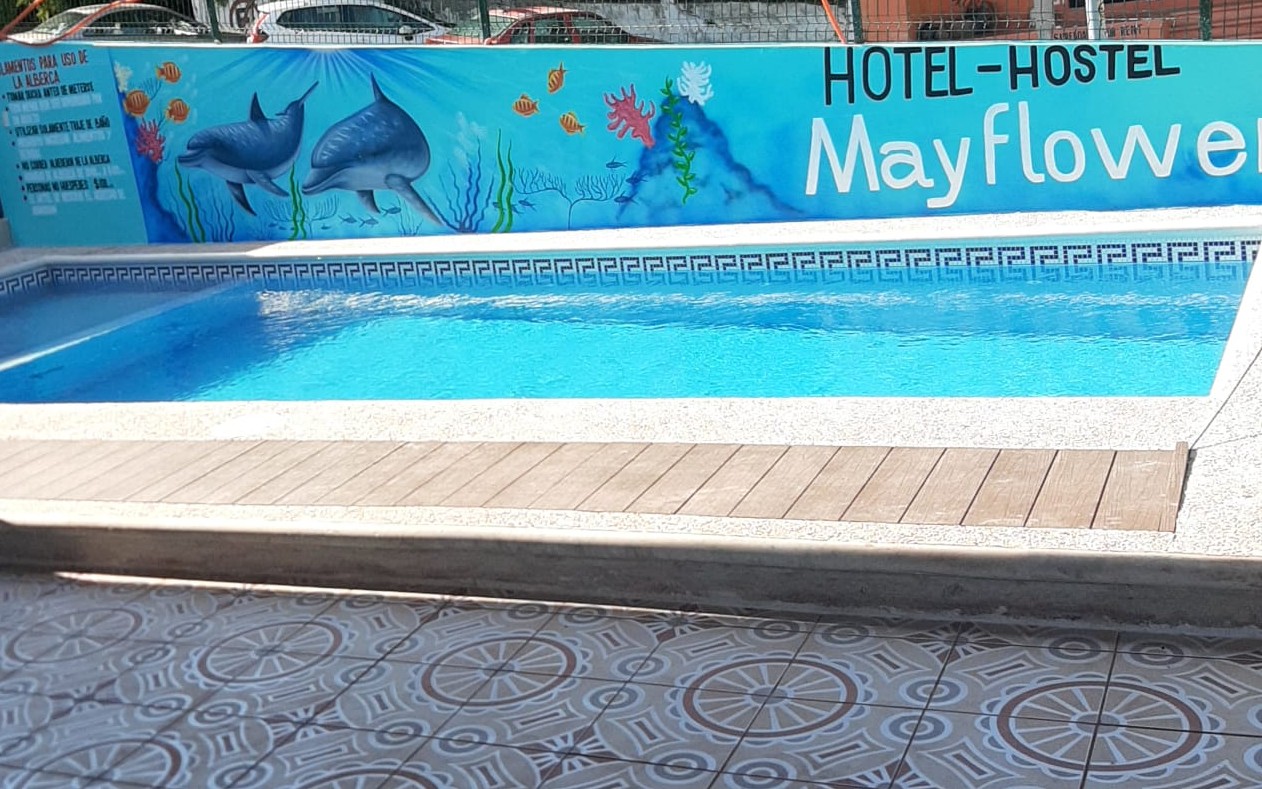 Outdoor pool at MayFlower Hotel & Hostal with a painted dolphin mural along the wall