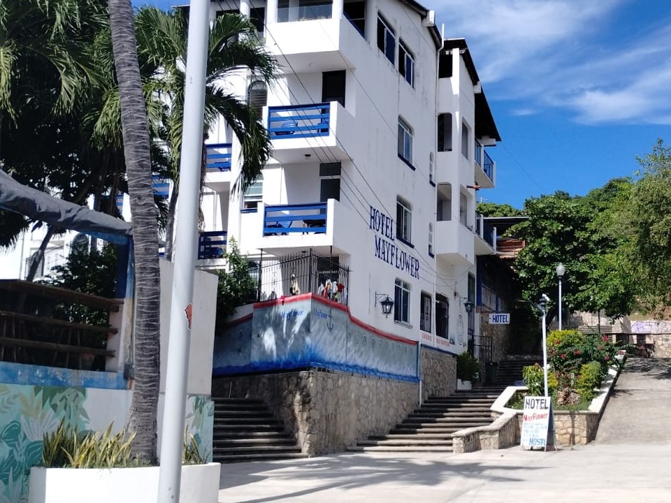 Street approach to MayFlower Hotel & Hostal, with palm trees, the entrance steps and the hotel sign